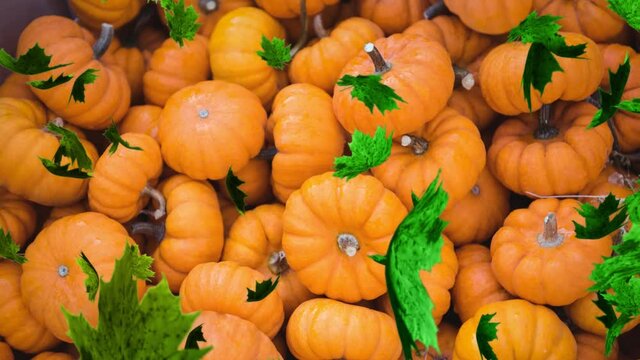 Animation of autumn leaves falling over pumpkin patch