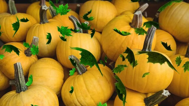 Animation of autumn leaves falling over pumpkin patch
