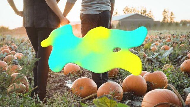 Animation of blue and yellow splash over couple holding hands on pumpkin patch - Powered by Adobe