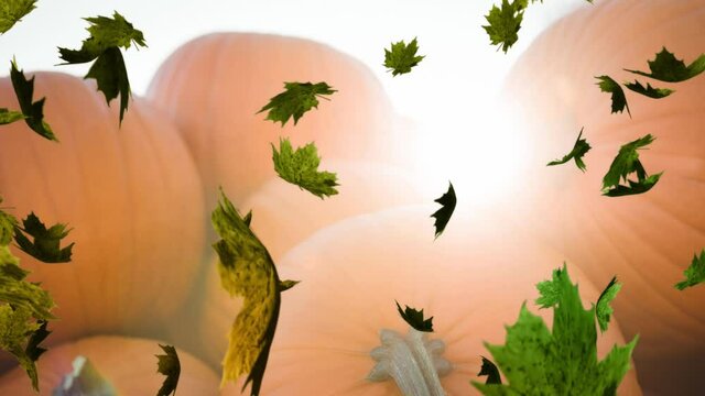 Animation of autumn leaves falling over pumpkin patch