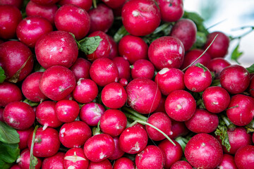 Stack of radish at the brazilian market stall
