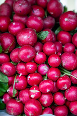 Stack of radish at the brazilian market stall