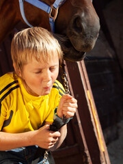 joking portrait  of little boy with horse. close up