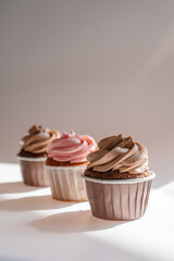 Cupcakes on a white sunny background with a shadow.