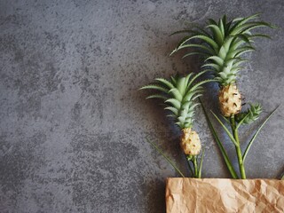 Many tropical fruits, top view​  Placed in a separate brown paper bag against a minimalist background.