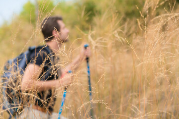hiker with tyrekking stick walking on trekking trail in dry meadow