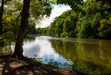 Reflexo da Floresta com o rio na Amazônia.