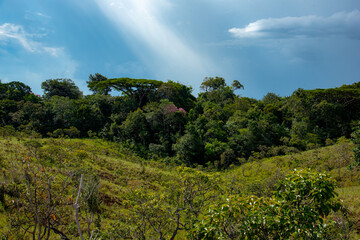 Vale com uma floresta e ao fundo com c&eacute;u azul.