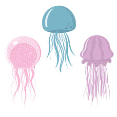Set of multicolored jellyfish isolated on a white background, color vector illustration