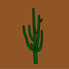 Saguaro Cactus 01