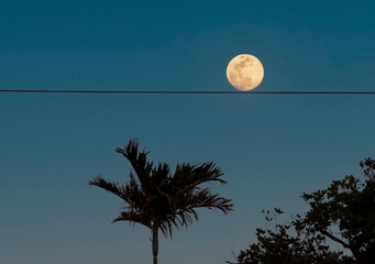 full moon on the wire