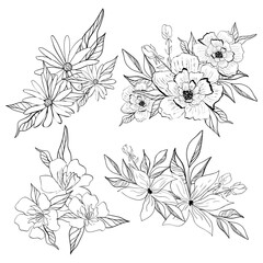 A set of bouquets of flowers. Collection of vector sketches and line art illustrations. Isolated botanical elements.