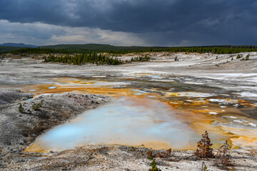 A geyser, steam and water boils from the ground in the well known preserve park