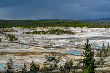 A geyser, steam and water boils from the ground in the well known preserve park