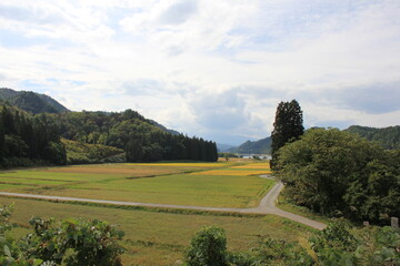 農地がある風景