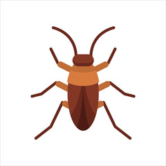 cockroach icon, flat icon vector illustration isolated on white background. for the theme of animals, insects and others