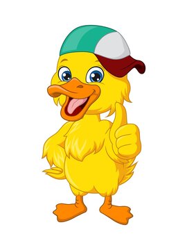 Cute baby duck cartoon wearing hat give thumb up