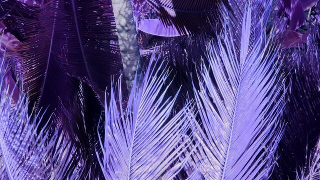 Surreal colors on a palm coconut tree as if in a otherworldly dream