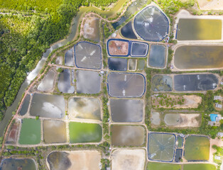 Shrimp farms on land in Chumphon Southern Thailand industrial farming seafood water fields no people copy space