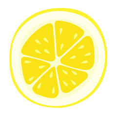 Yellow lemon slice with seeds hand drawn vector isolated on white background.
