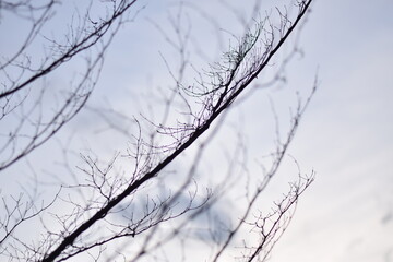 nature is around you, you can enjoy and relax with it