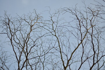 nature is around you, you can enjoy and relax with it