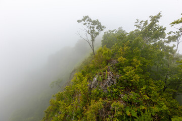 Obraz na płótnie Canvas The Chandolaz ridge in the Primorsky region in the fog. The top of the rocky ridge is shrouded in fog.