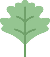 hawthorn leaf flat icon