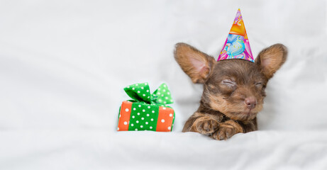 Funny Dachshund puppy  wearing birthday cap sleeps with gift box under white warm blanket on a bed...