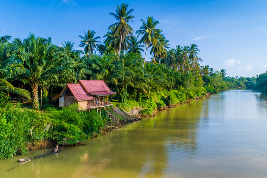 House along a river lined coconut trees in Thailand