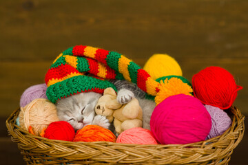 Cute kitten wearing warm hat hugs favorite toy bear and sleeps inside a basket with clews of thread