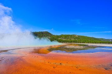 Old Faithful Geyser Eruption, Wonderful natural landscape. Yellowstone National Park is famous for its rich wildlife species and geothermal resources.