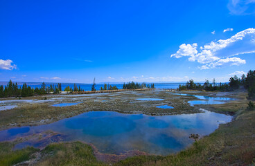 Mysterious and colorful Opal Pool. Yellowstone National Park is famous for its rich wildlife species and geothermal resources.