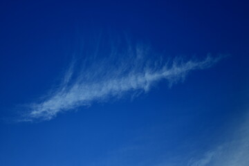 a cloud that looks like a bird's feather