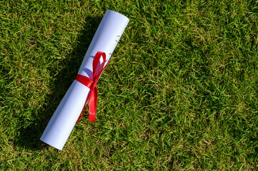 certificate of graduates placed on green leaves.