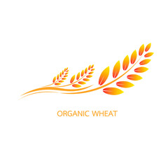 Vector logo design and elements of organic wheat grain, wheat ears, wheat seed, or wheat rye, prosperity symbol,Vecter illustration EPS 10.