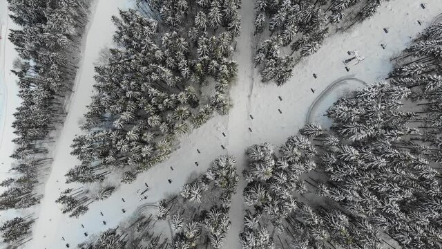 Ski slopes, Christmas trees in the snow, Carpathians, view from a drone, Bukovel