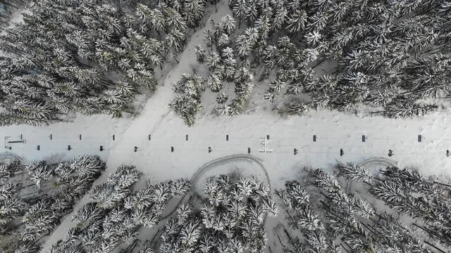 Ski slopes, Christmas trees in the snow, Carpathians, view from a drone, Bukovel