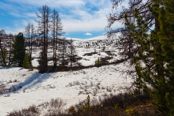 Obraz premium snow-capped peaks of the Altai mountains