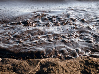 Oil pollution near the sea coast.Ecology. Environmental pollution.