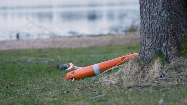 Slow pan of lifebuoy on grass by tree near still water and sand beach