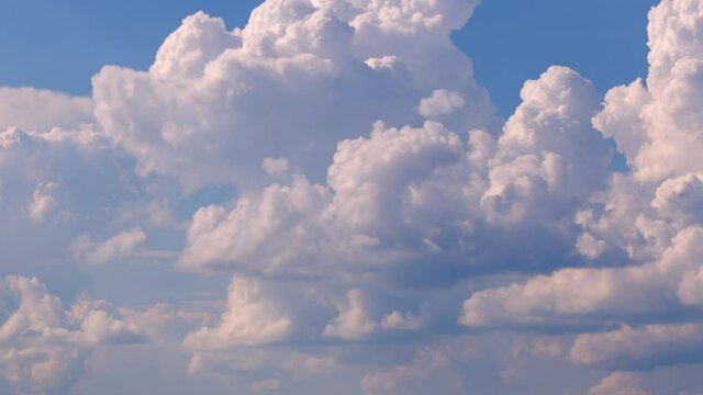 Cumulus congestus and small cumulonimbus clouds.