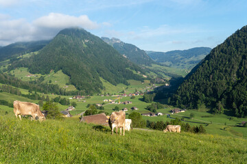 Fototapeta na wymiar Churfirsten in der Schweiz
