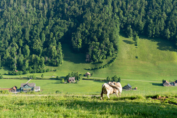 Churfirsten in der Schweiz