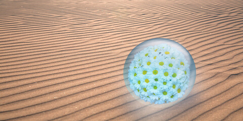 A bouquet of daisy flowers inside a crystal ball on dry soil
