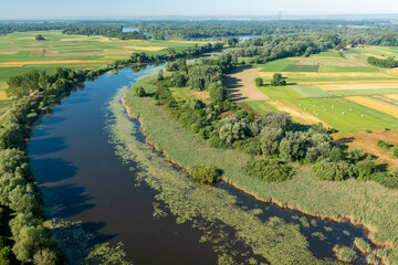 Aerial view of the oxbow lake of the Drava River, Croatia