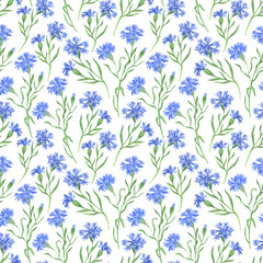 Watercolor flower pattern. Digital paper with watercolor cornflowers. Wildflower pattern, fabric prints