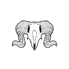 Vector skull of buffalo black and white