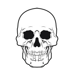 Skull simple illustration vector design