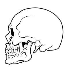 Skull simple illustration vector design